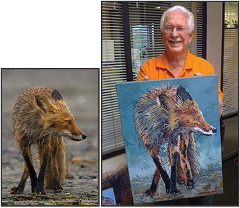 Vernon Dittenbir oil painting of red fox at Hallo Bay, Alaska. Original photo by Stephen Oachs