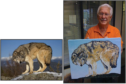 Vernon Dittenbir oil painting of wolf at Double D Game Farm, Kalispell, Montana. Original photo by Stephen Oachs